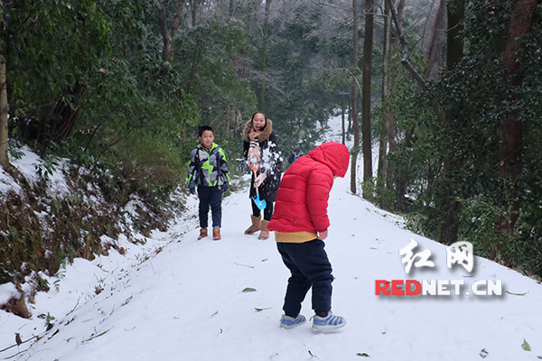 有家长带着孩子从小路上山，一边走一边玩雪。