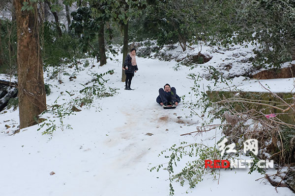 有人做了简易的滑雪板，在山上玩起滑雪来，十分危险。