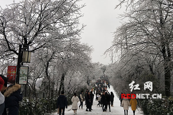 仍有游客执意上山。
