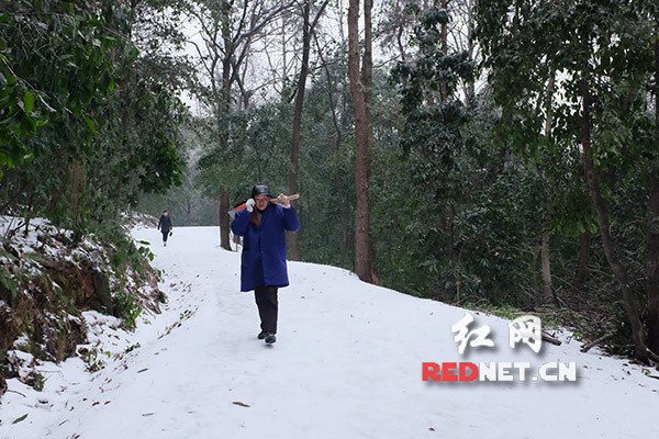 景区工作人员扫雪而归。