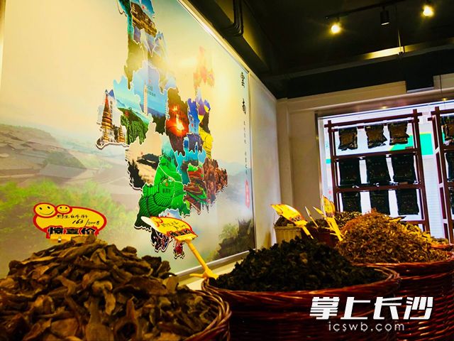 在大幅云南特产地图前，产自云南各地市的野生菌类和土产一应俱全。