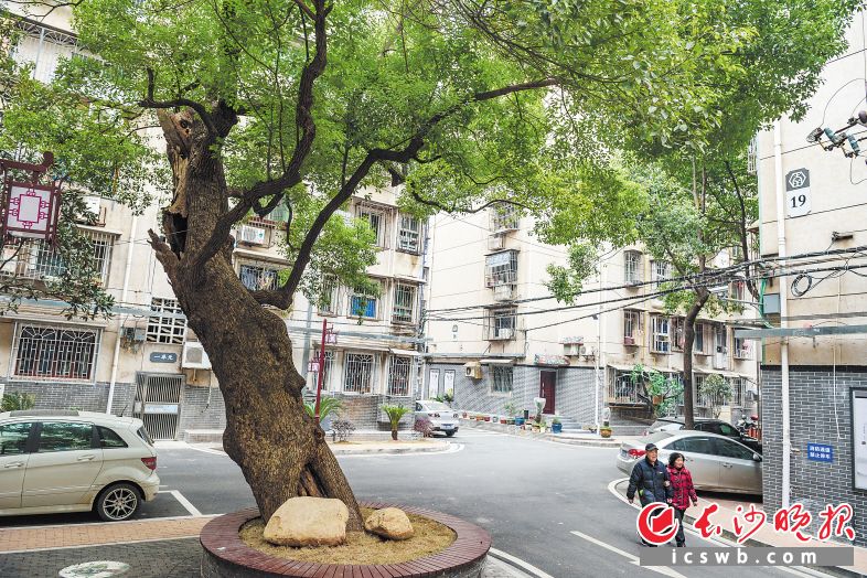 通过棚户区和城中村改造，极大地提升了居民生活质量。长沙晚报记者 陈飞　摄