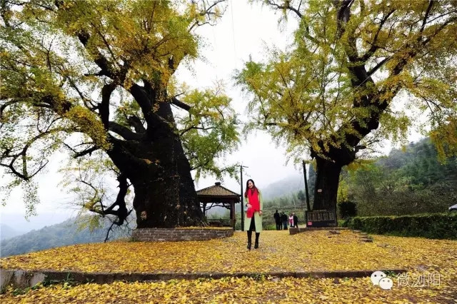 资料图 彭红霞 摄
