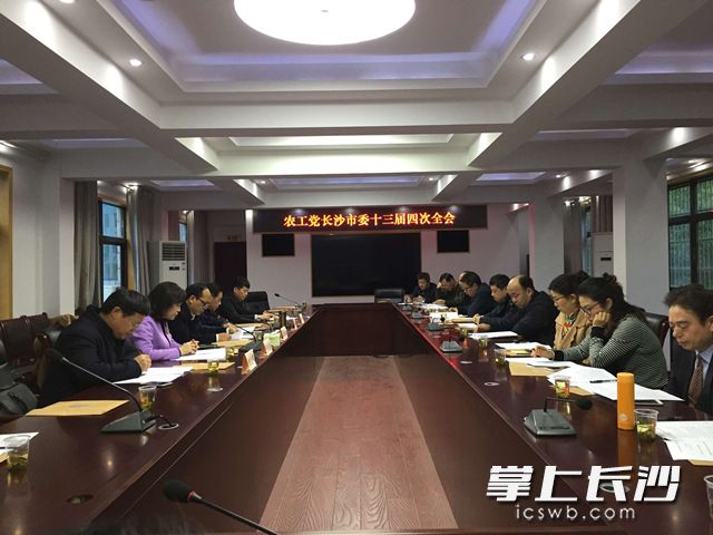 今天，农工党第十三届长沙市委员会第四次全体会议举行。图为会场情景。长沙晚报通讯员 周倩 摄