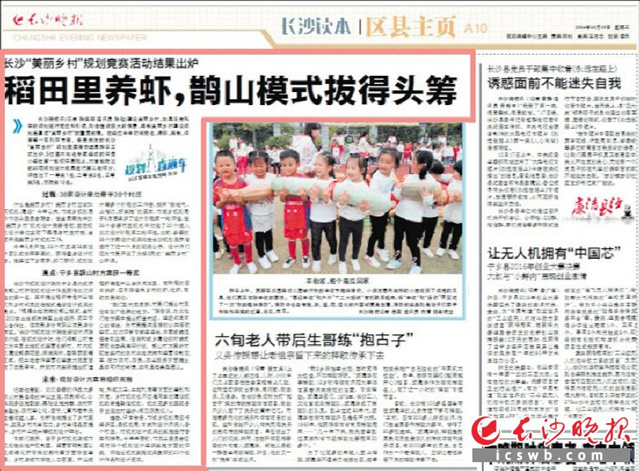 2016年10月19日，长沙晚报区县主页版报道，长沙“美丽乡村”规划竞赛活动结果出炉，稻田里养虾“鹊山模式”拔得头筹。