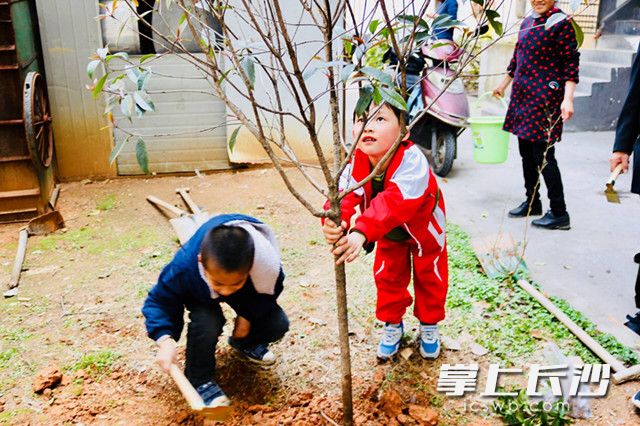 社区老少总动员，种树植绿，学做环保盆栽，让留芳岭留住绿意芬芳。 通讯员 王萍 摄