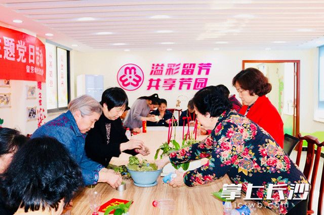 社区老少总动员，种树植绿，学做环保盆栽，让留芳岭留住绿意芬芳。 通讯员 王萍 摄