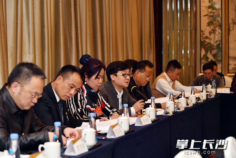 今日，出席湖南省十三届人大一次会议的代表分组审议《政府工作报告》时，畅所欲言。长沙晚报记者 周柏平 摄