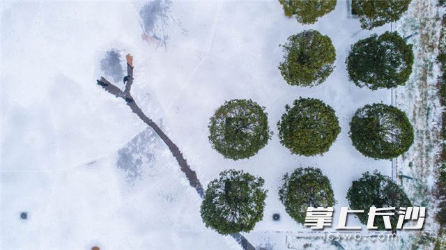 湘府文化公园。