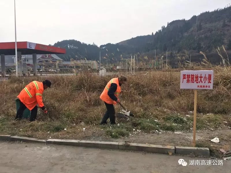 △凤凰服务区，保洁队员正在绿化带中清捡垃圾。除此之外，他们还要集中清扫停车坪、清洗厕所，将地上的呕吐物等一一徒手处理干净。每天数十小时弯下腰蹲下身，在冰凉的水中、寒风中清扫作业，只为给司乘朋友提供一片干净温馨的休息之所。