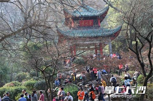 大年初一，许多游客趁着好天气爬岳麓山。