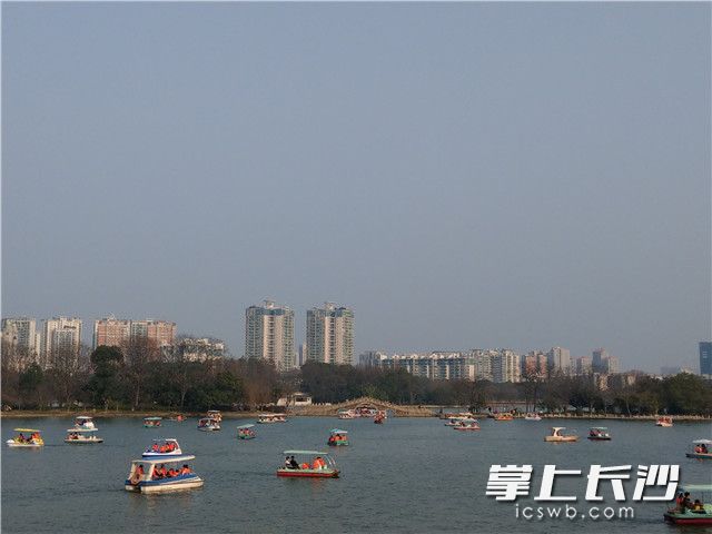 烈士公园内，游人如织。