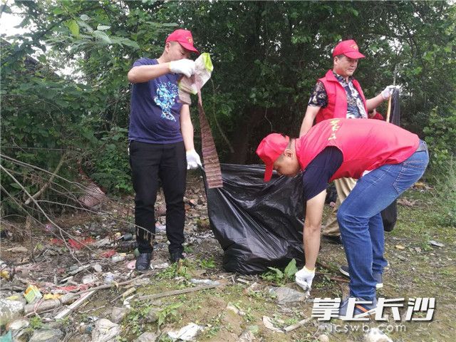 志愿者们在沩水河沿岸清理垃圾，在志愿活动中度过五四青年节。 照片均为长沙晚报通讯员 周坚 摄