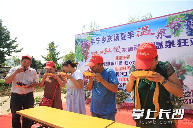 吃葡萄比赛成为了一场饕餮盛宴。照片均为长沙晚报记者 张禹 通讯员 刘石江 摄