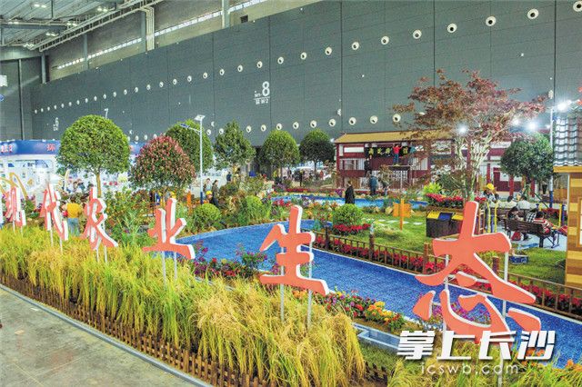 鲜花绿树相映成景，微版的农村民宿、惠民生活区、特色农产品展示台等点缀其中。长沙市综合展区清新亮相，给不少人带来惊喜。