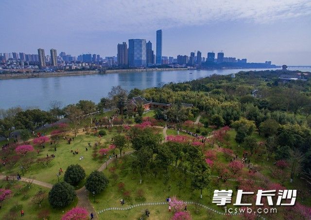 橘子洲头。