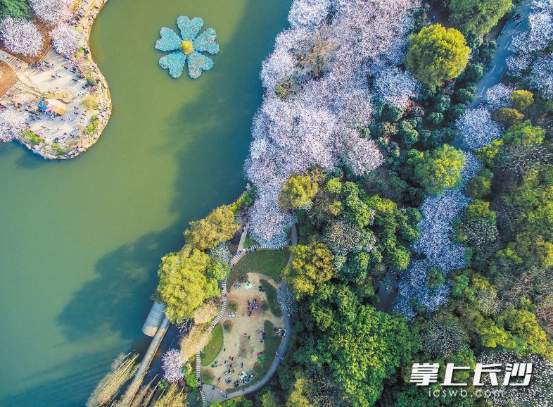 湖南省森林植物园内森林密布、鲜花遍地，是一个天然的大氧吧，是市民游客赏花、观景的好去处。资料图片