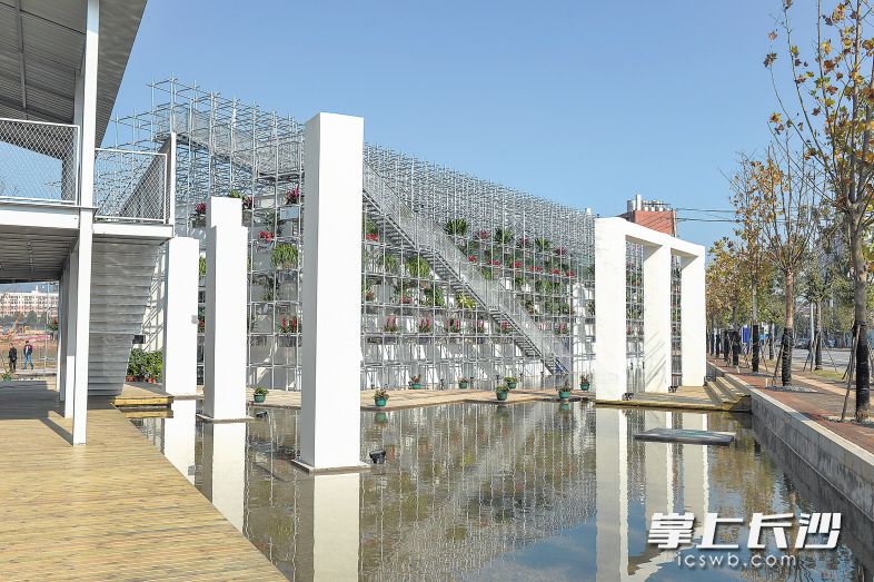 后湖畔的脚手架创意空间。