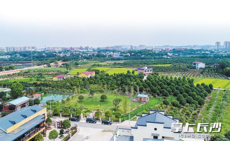引景入村、变村为景，天心区南托街道沿江村变得越来越美。 　　长沙晚报记者 邹麟 摄