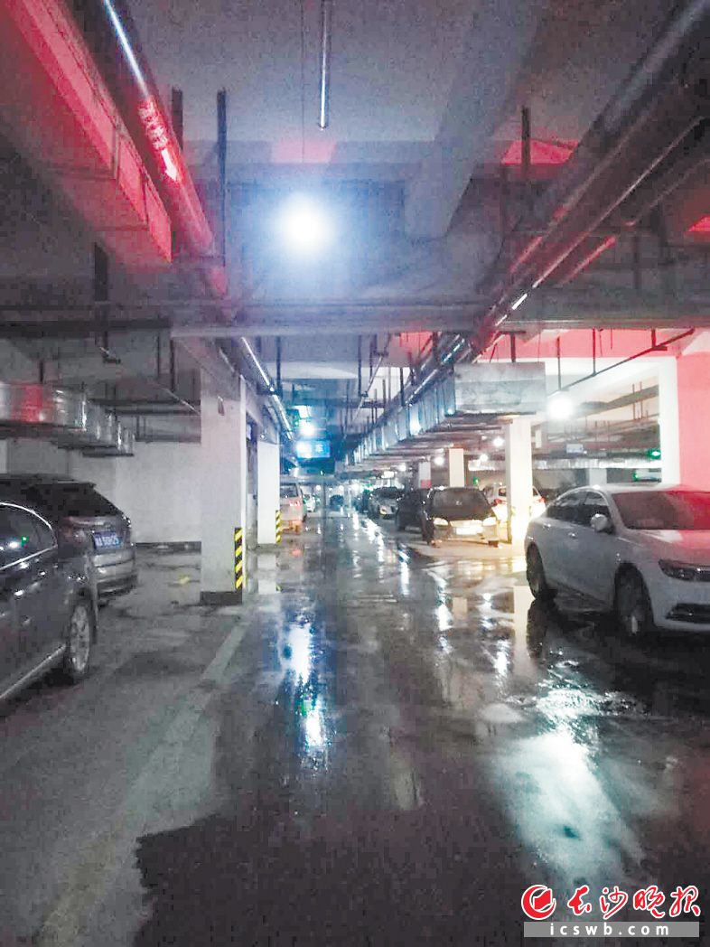 在雨花区黎郡新宇太和园小区，地下车库地面积水较多。 长沙晚报全媒体记者 谢春年 实习生 何慧婧 摄影报道