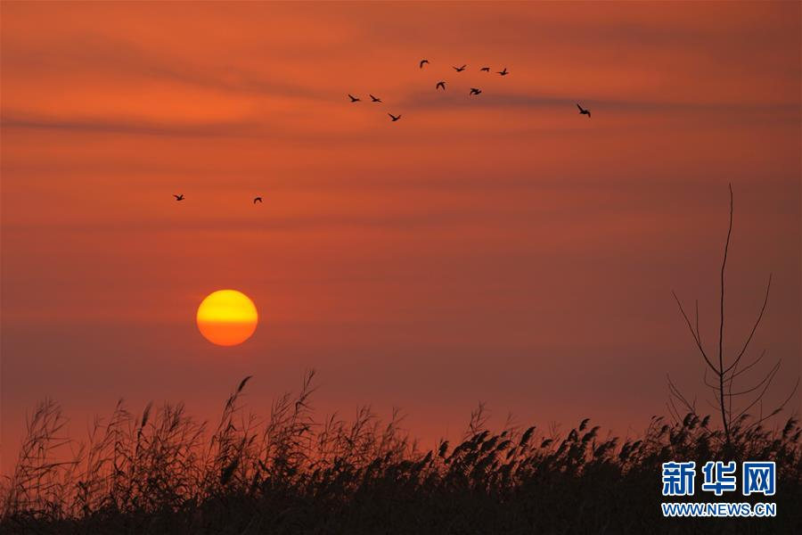 河北雄安新区安新县白洋淀日出。（来源：新华社）