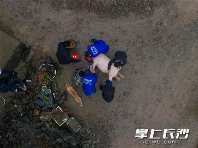 杀年猪时，要留下一点猪血，用木盆接住，加入适量的盐和水，等它自然凝结后就变成血旺，是杀猪饭上的一道必备美食。