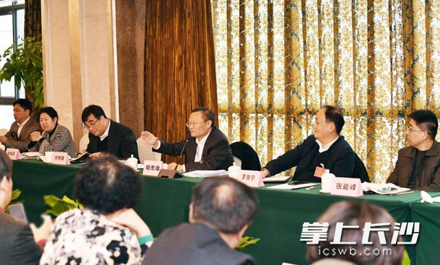 今日，市委副书记、市长、湖南湘江新区党工委书记胡忠雄来到市十五届人大四次会议天心区代表团，与代表们一起审议政府工作报告。长沙晚报全媒体记者 周柏平 摄 
