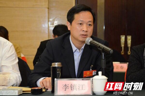 湖南省人大代表、湘阴县委副书记、县长李镇江。图片来源：红网时刻
