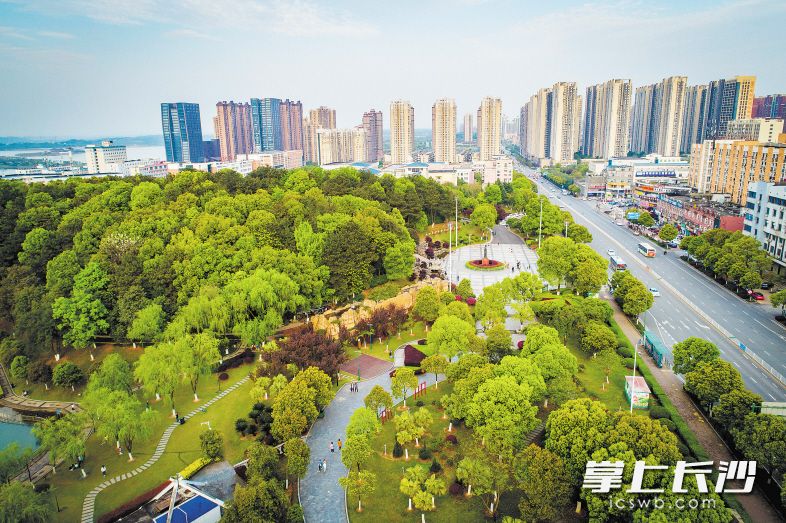 从空中俯瞰，树木茂盛的特立公园与高楼林立的星沙城区融为一体。　　长沙晚报全媒体记者 姜国 通讯员 郑骏 摄影报道