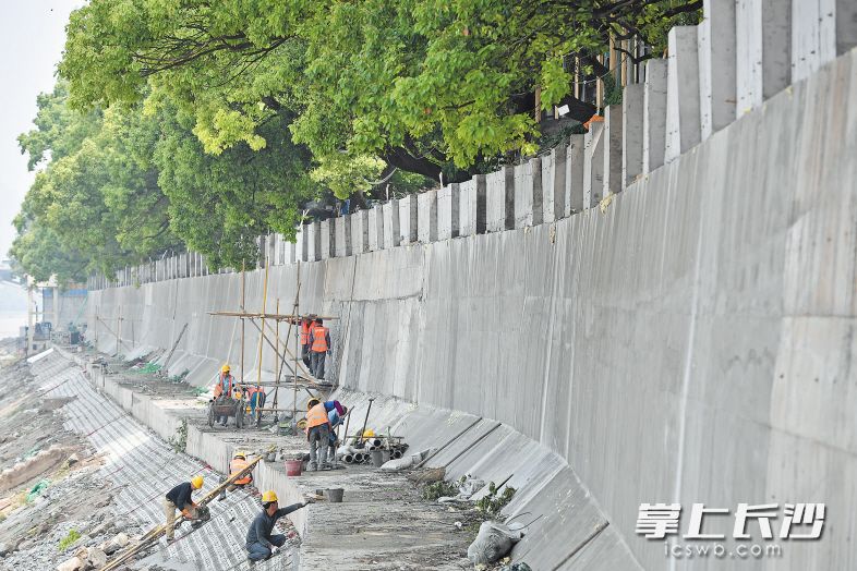 昨日，湘江东岸防洪综合改造项目涉水主体正式完工，湘江东岸防洪标准提升至200年一遇。 长沙晚报全媒体记者 王志伟 摄