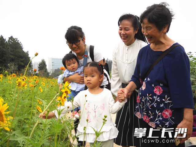 市民、游客徜徉在到植物园向日葵“花海”感受秋天的美好。