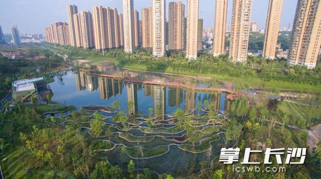 圭塘河流域综合治理目前已取得阶段性成果，生态景观公园成为市民休闲、产业集聚的好去处。 陆文钦 摄