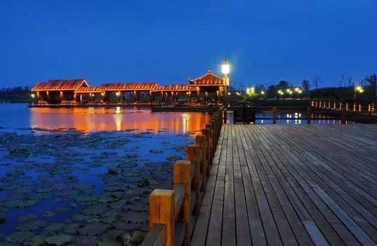 ▲洋湖湿地公园