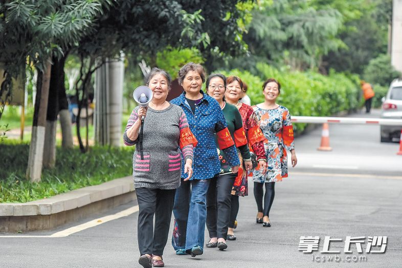 荷花园街道的&ldquo;红袖章&rdquo;志愿者正维护家园治安。该街道积极推动志愿服务制度化，千名&ldquo;红袖章&rdquo;行街巷护文明。