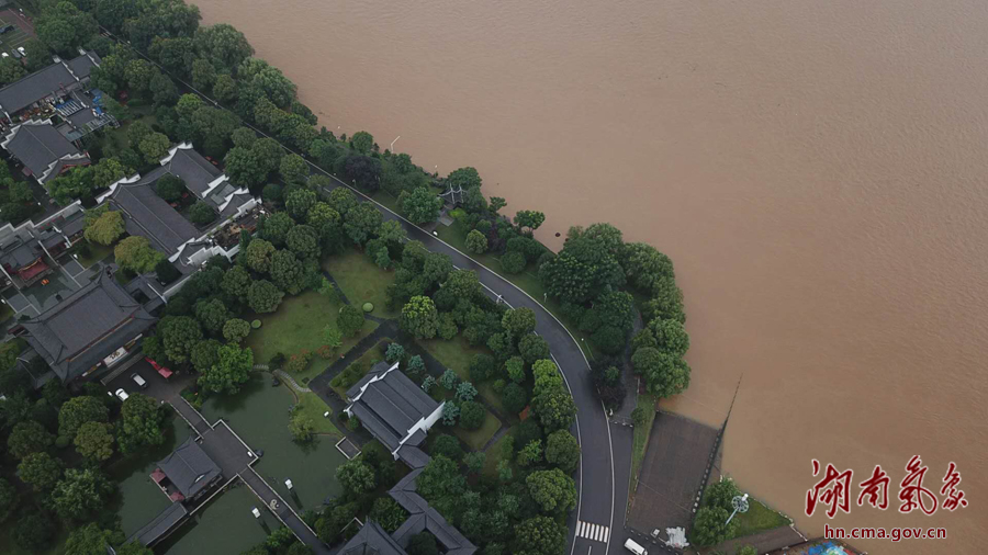 受强降雨影响，湘江长沙站水位迅速上涨，今天，橘子洲景区公众号发布临时闭园通知。通讯员 梁山 摄