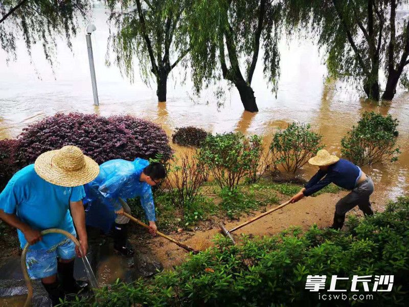 工作人员正清理景区游步道等。