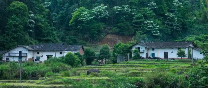 道官冲风景优美，文化底蕴深厚。