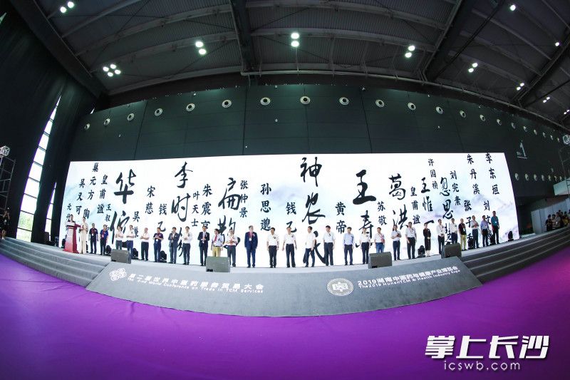 第二届世界中医药服务贸易大会在长沙举行。