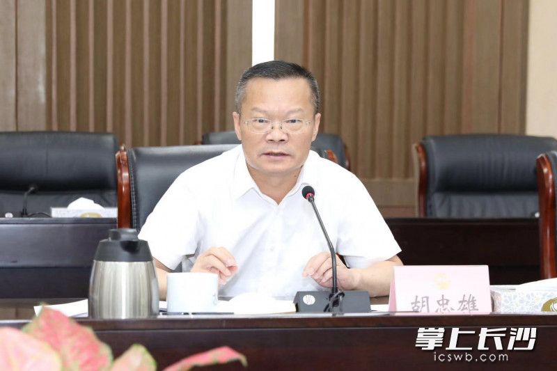 今日，胡忠雄专题研究市轨道交通集团转型改革、城市一卡通建设、垃圾分类等工作。刘书勤 摄