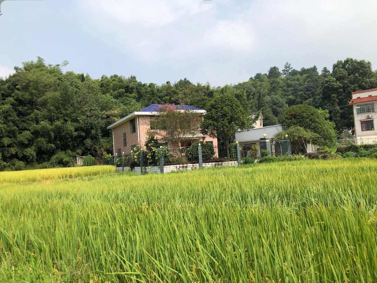 长沙深入推进移风易俗工作，美丽乡村兴起文明新风。长沙晚报全媒体记者 匡春林 摄