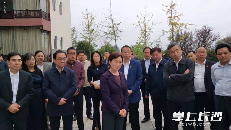 今天，省政协组织部分省政协委员，赴宁乡市对我省生猪养殖工作进行视察。省政协主席李微微参加视察。长沙晚报全媒体记者 周小华 摄