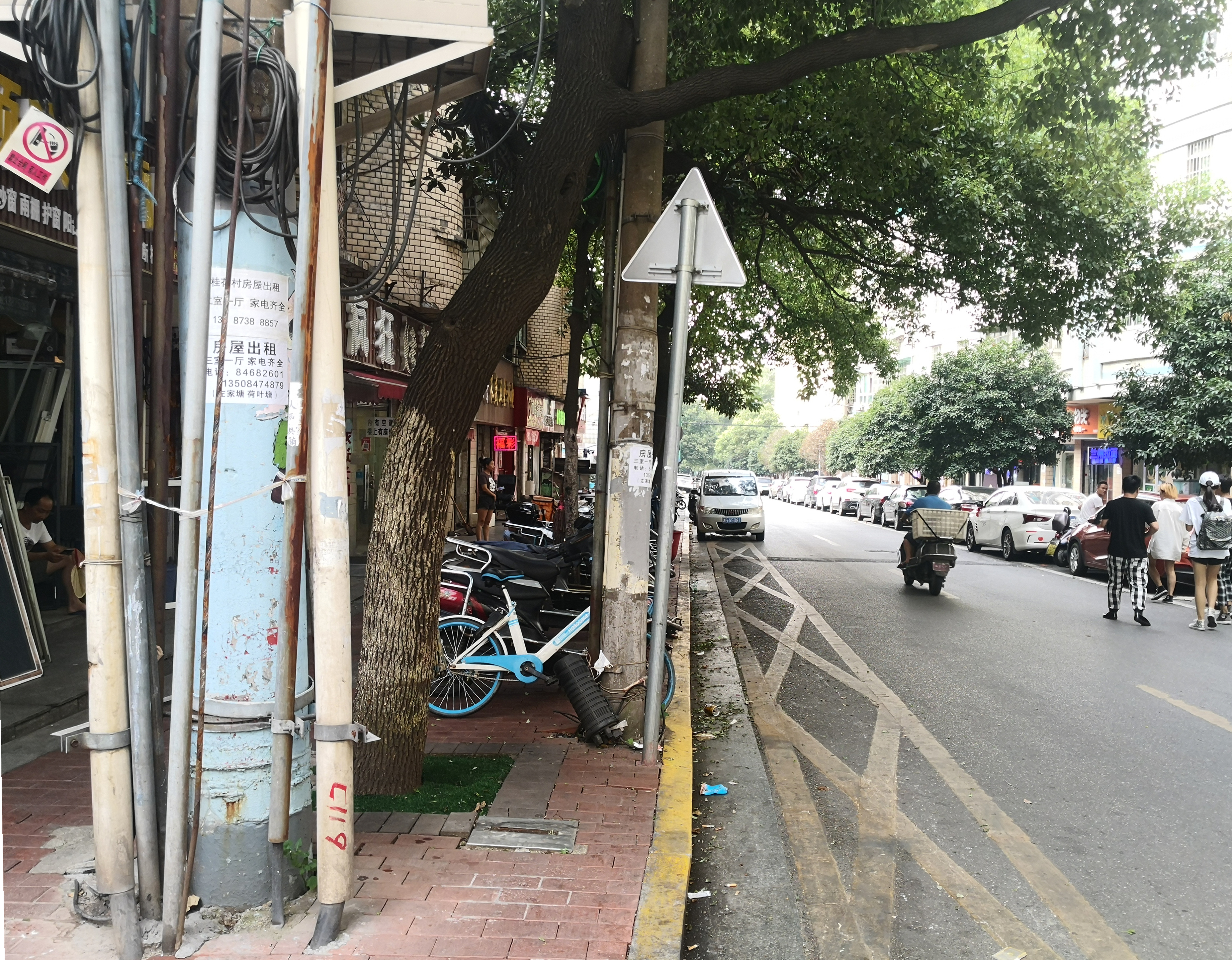 城南东路桂花树街楼口的人行道上，10几根杆子挤在一起。
