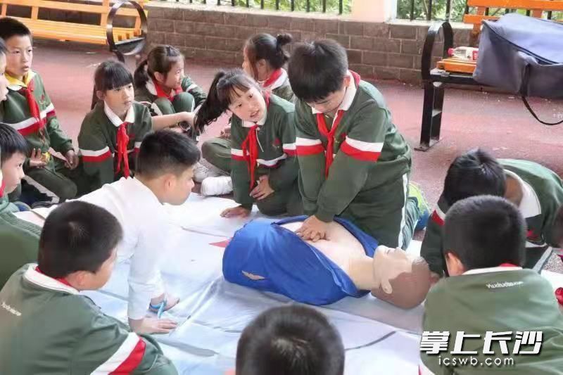 现场学习心肺复苏知识。 现场学习心肺复苏知识。