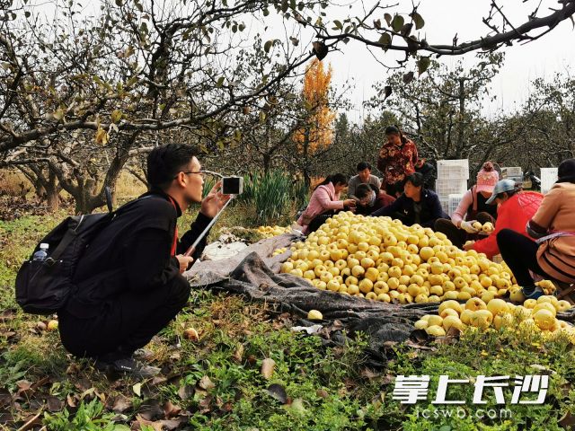 原产地基地直播更是其特色