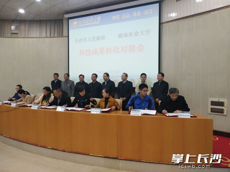 项目签约仪式现场。长沙晚报全媒体记者 徐运源 摄