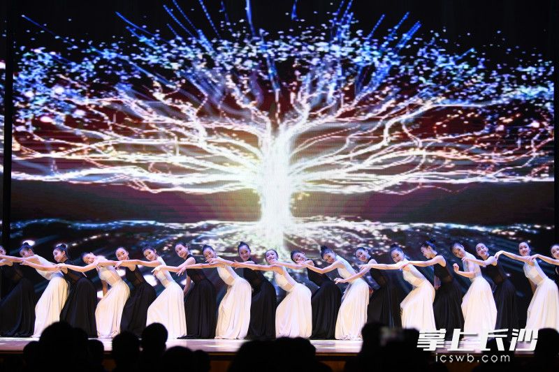 办学十年来,湖南师大附中博才实验中学由稳健起步到快速发展,实现了由小变大、由弱变强的历史跨越。 办学十年来,湖南师大附中博才实验中学由稳健起步到快速发展,实现了由小变大、由弱变强的历史跨越。