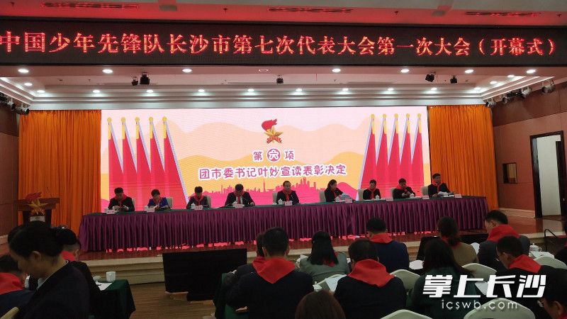 今天，中国少年先锋队长沙市第七次代表大会召开。长沙晚报全媒体记者　周小华摄