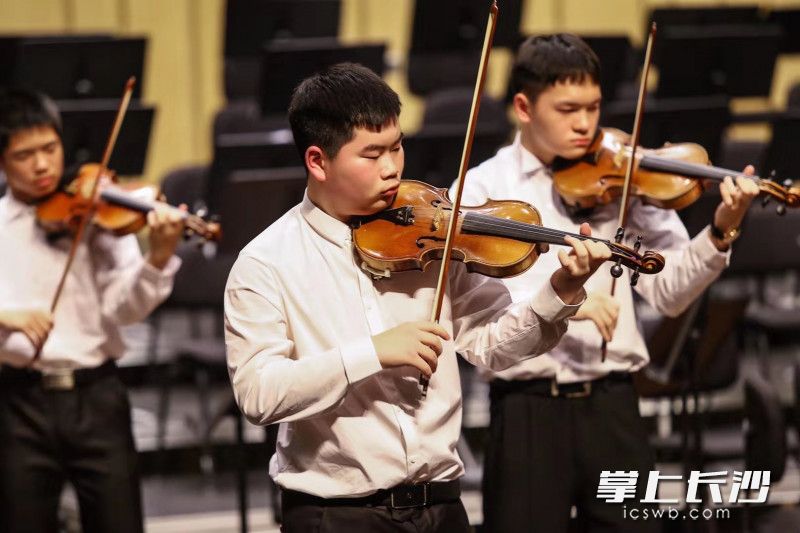 交响乐团里风度翩翩的白衣少年。