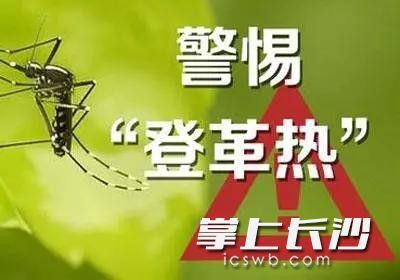 出境旅行预防登革热要防蚊蝇叮咬。