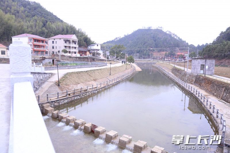 沙市镇桃源村，小河进行了清淤修整，还建起了风光带。